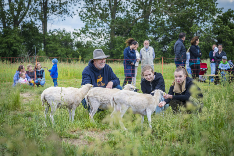 Paten und Namen für die Brandenburger Schullämmchen