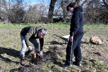 Brandenburg: Grüner Wetterschutz-Mantel für den Schulweinberg